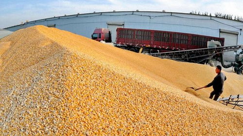 2018年農村經濟形勢嚴峻，農民增收困難，出路何在？