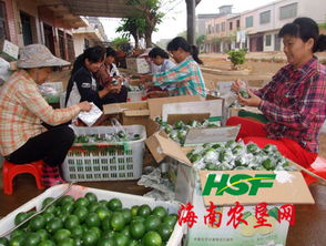 東昌農產品收購市場聚財氣，助力農副產品銷售興旺